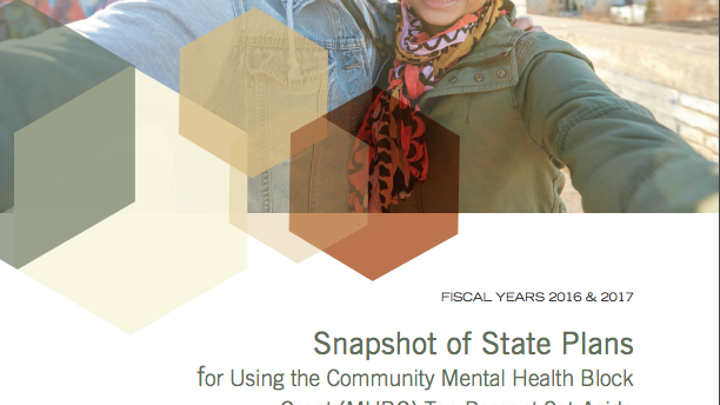 FY2016/17 Snapshot of State Plans for Using the Community Mental Health Block Grant (MHBG) Ten Percent Set-Aside for Early Intervention Programs