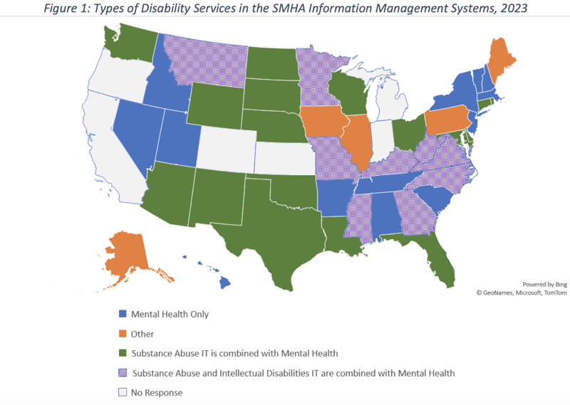 Types Of Disability Services In The SMHA Information Management Systems, 2023